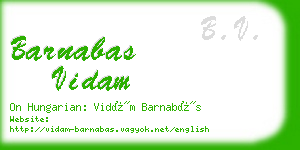barnabas vidam business card